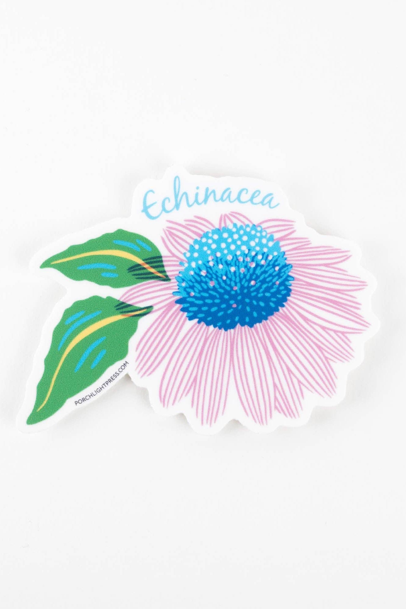 Sticker: Vibrant Echinacea