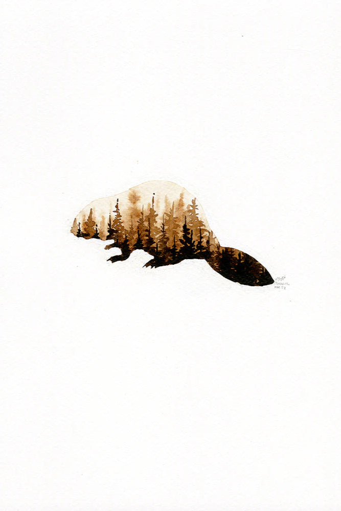 Canadian Wildlife Cards - Animal Silhouettes