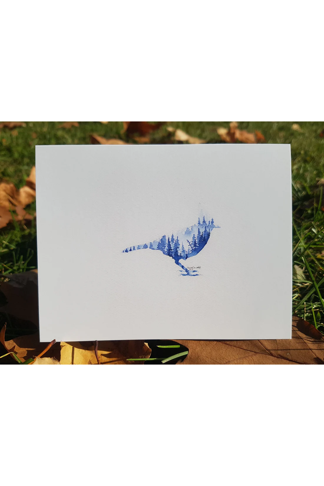Canadian Wildlife Cards - Silhouettes