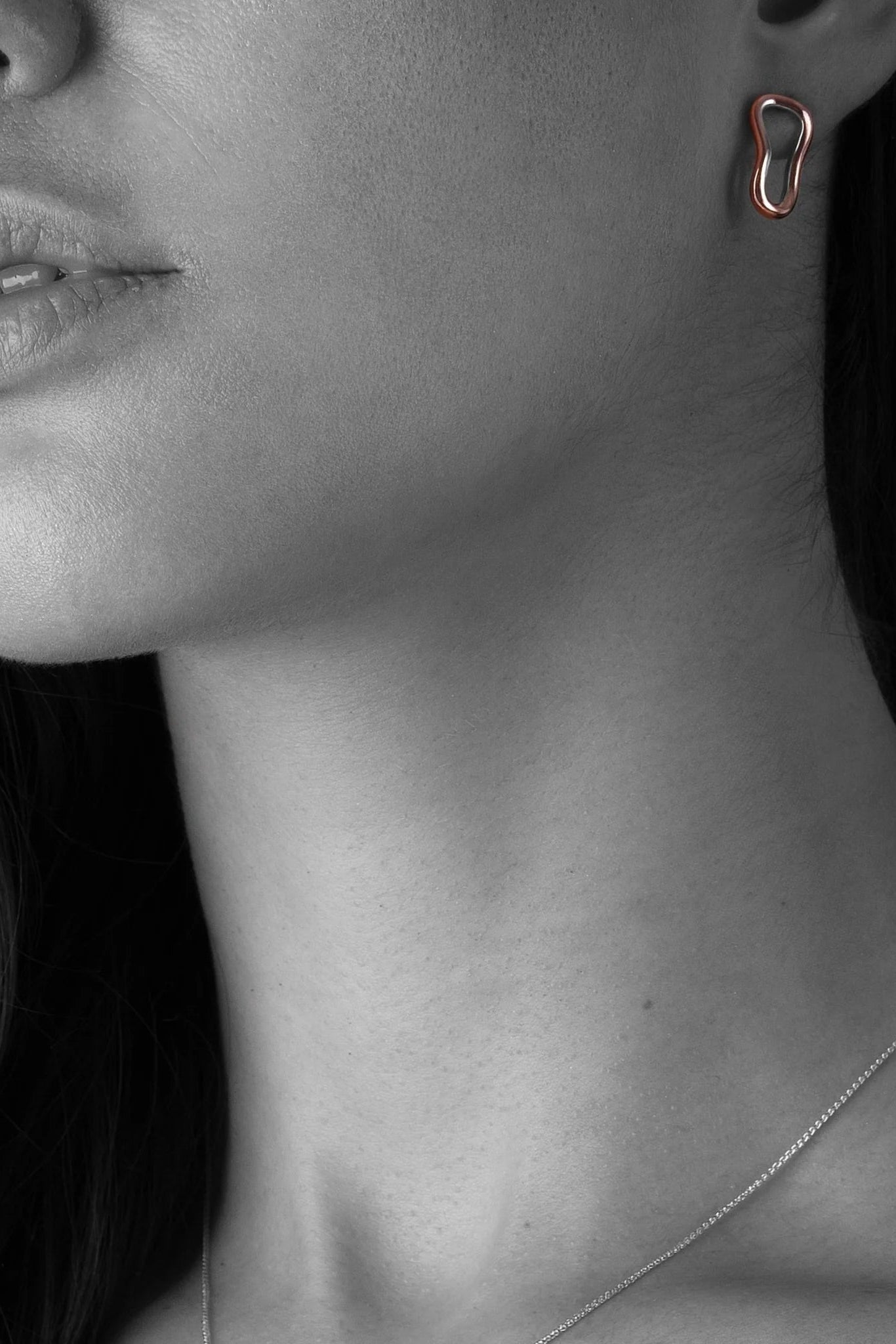 Curves 01 Earrings