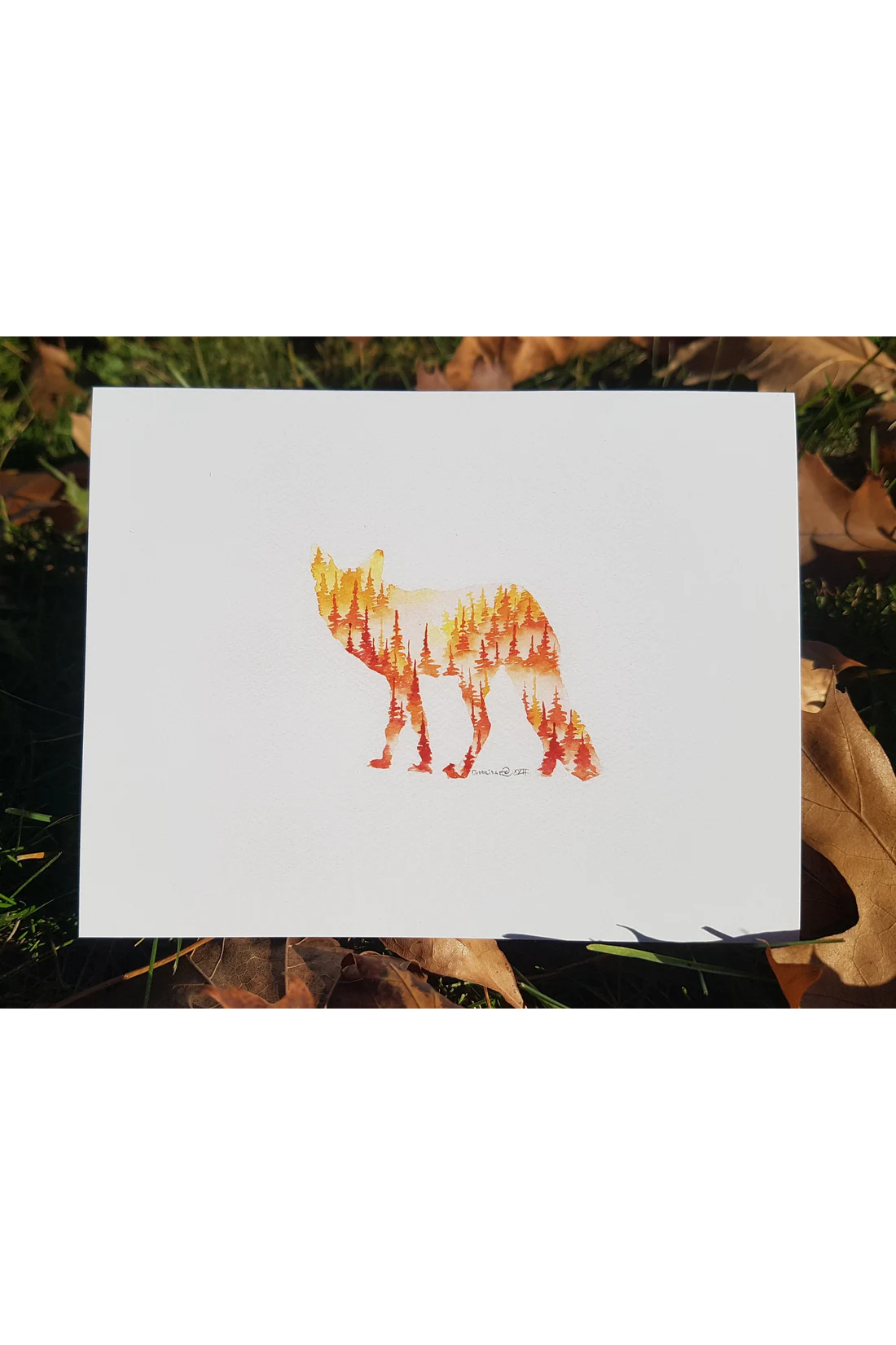 Canadian Wildlife Cards - Silhouettes