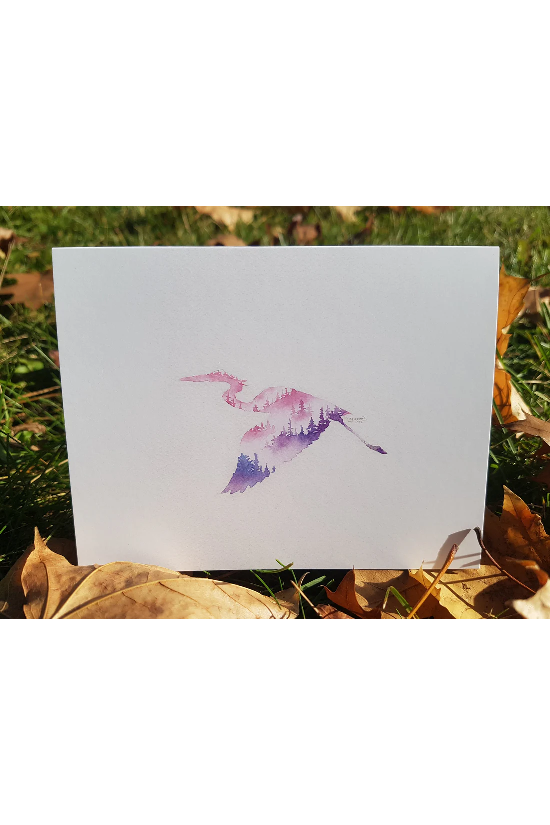 Canadian Wildlife Cards - Silhouettes