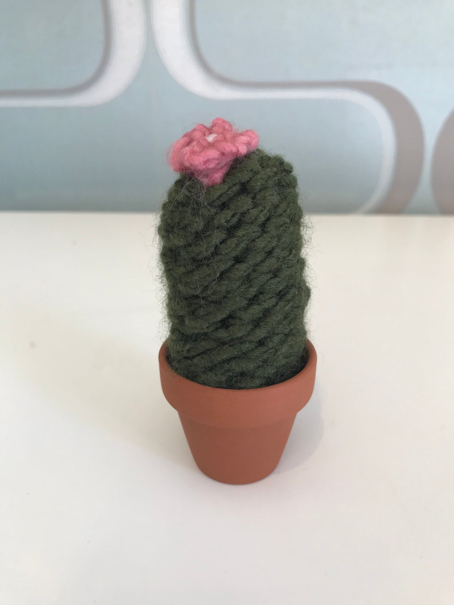 Knit Cactus by Curl Country, small