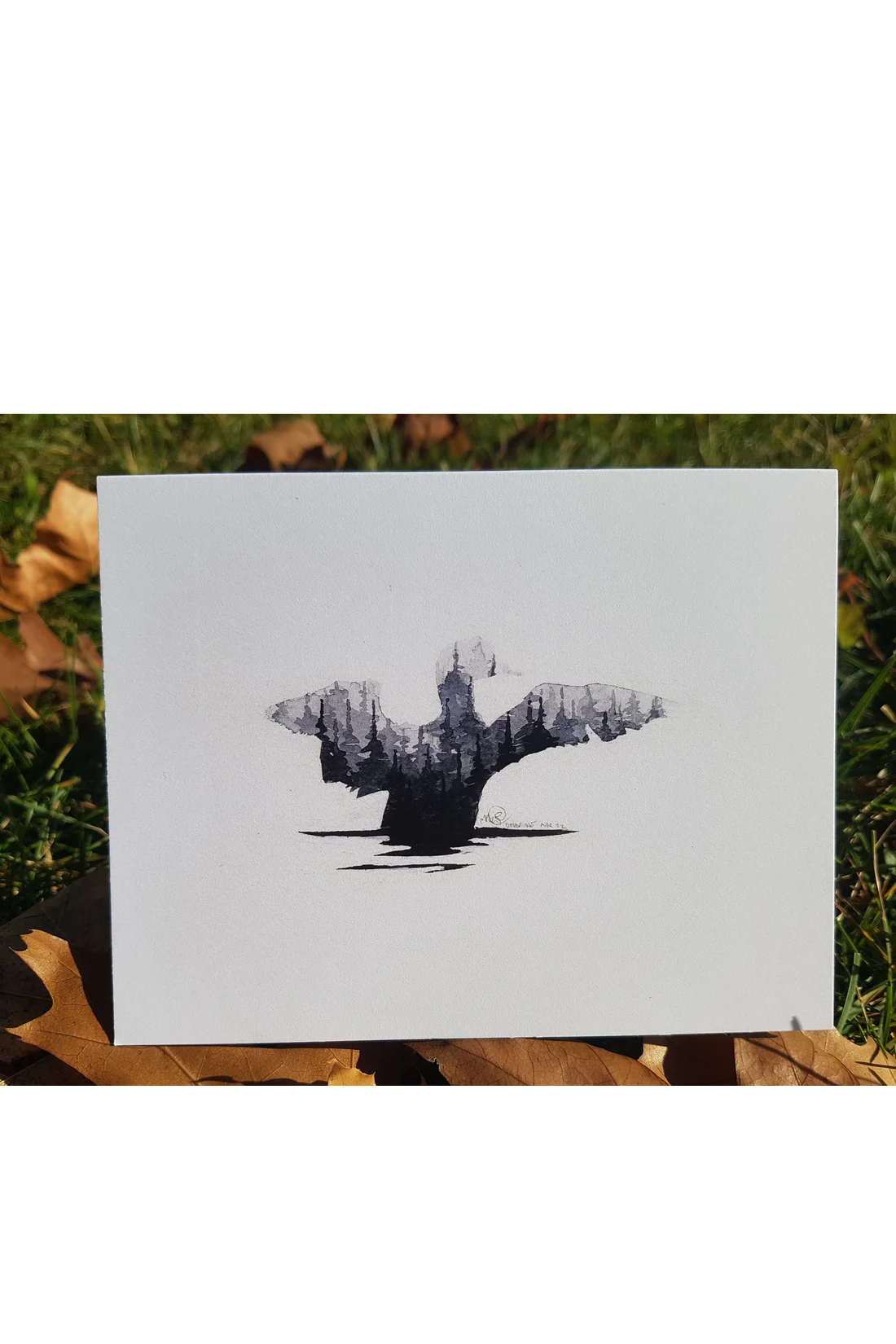 Canadian Wildlife Cards - Animal Silhouettes