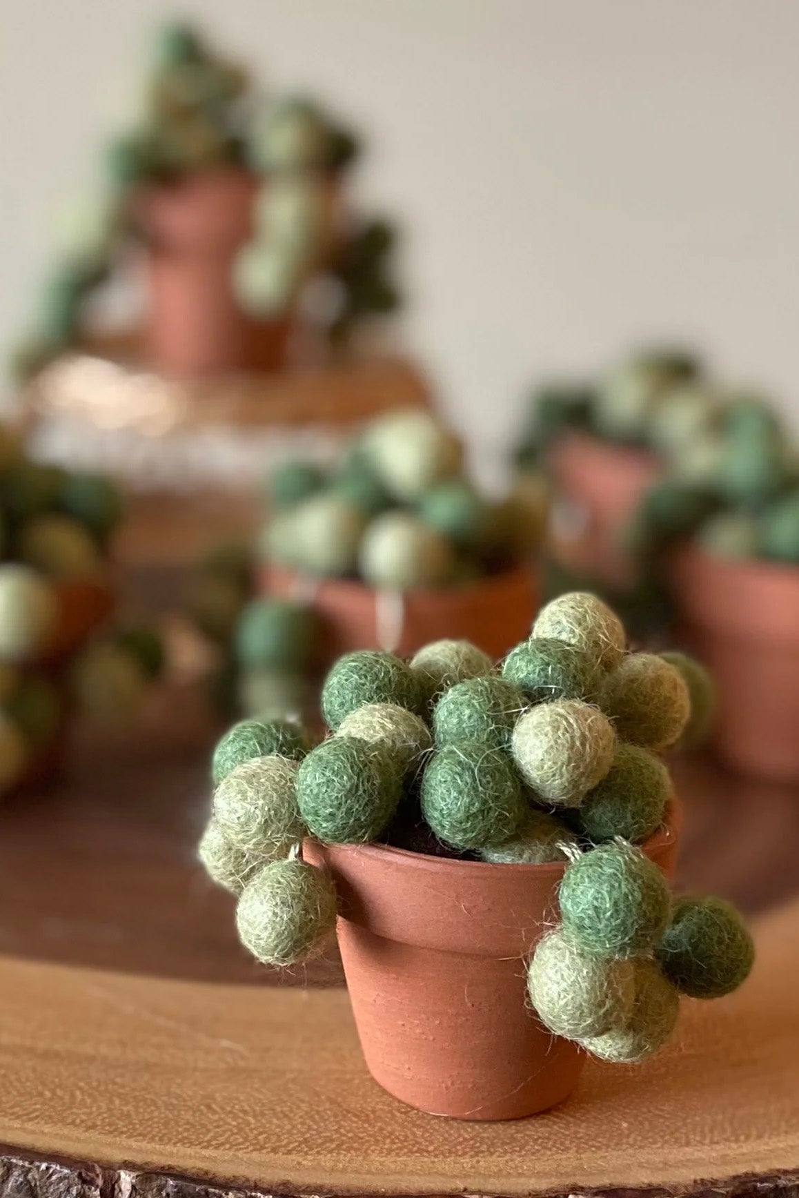 String of Pearls
