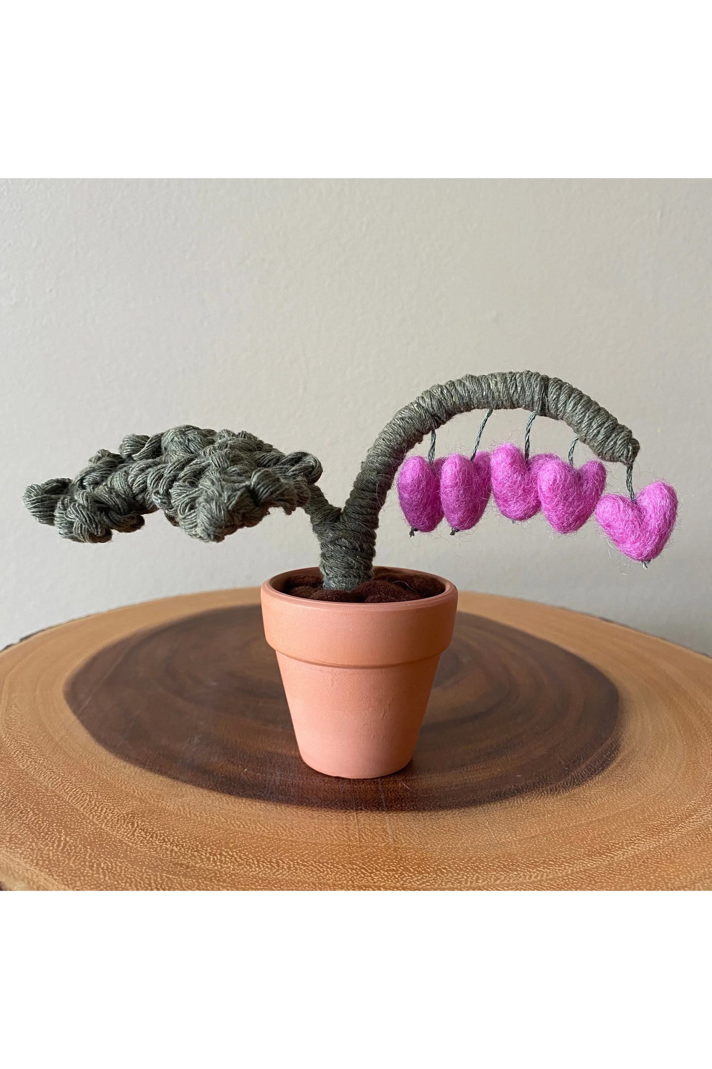 Bleeding Heart Plant