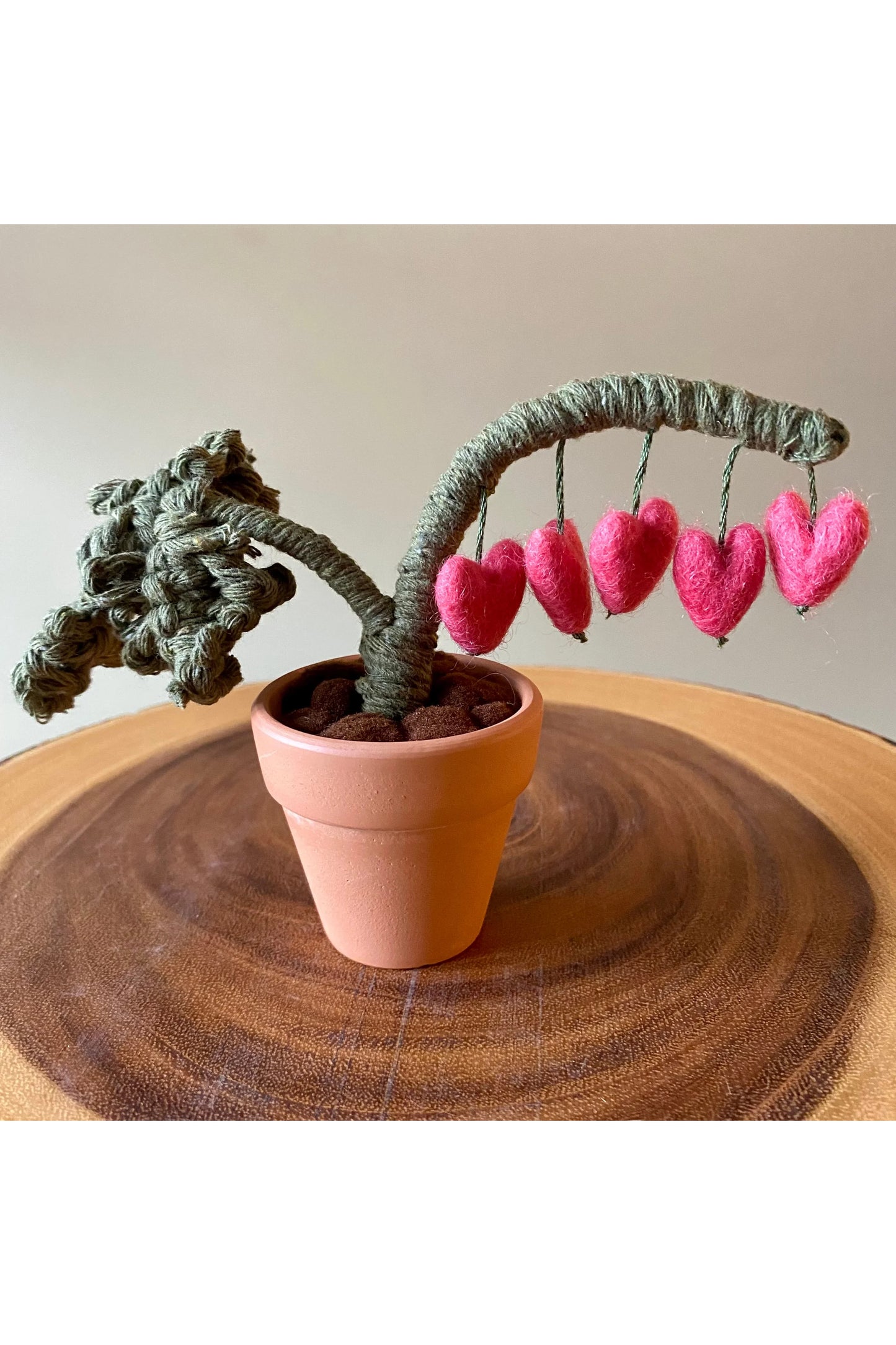 Bleeding Heart Plant
