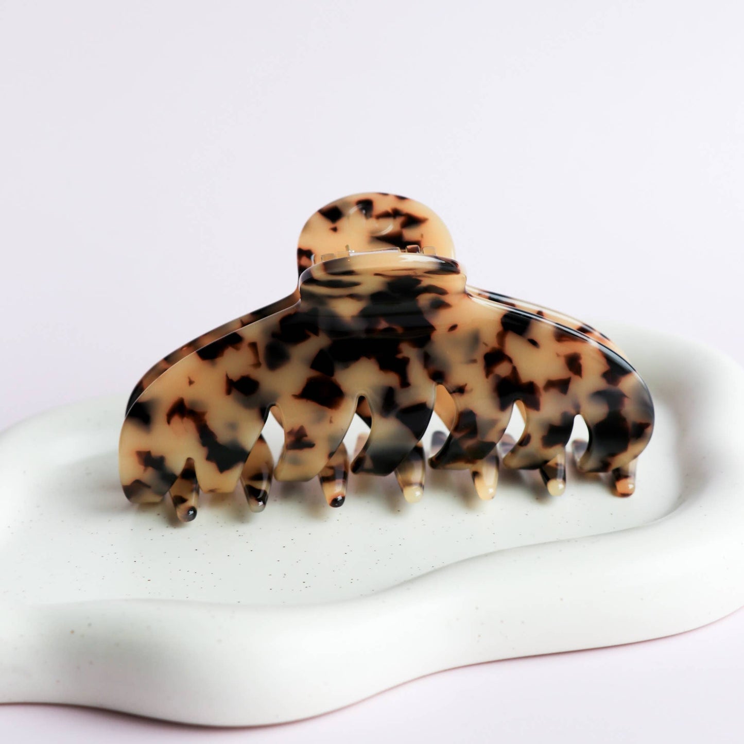 The Agatha - Tortoise