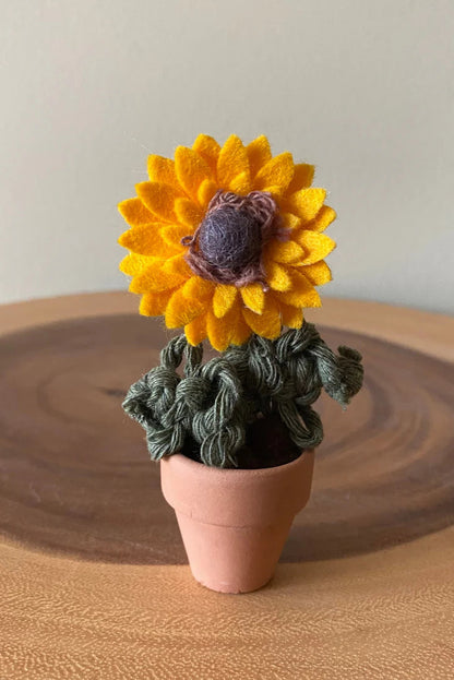 Potted Sunflower