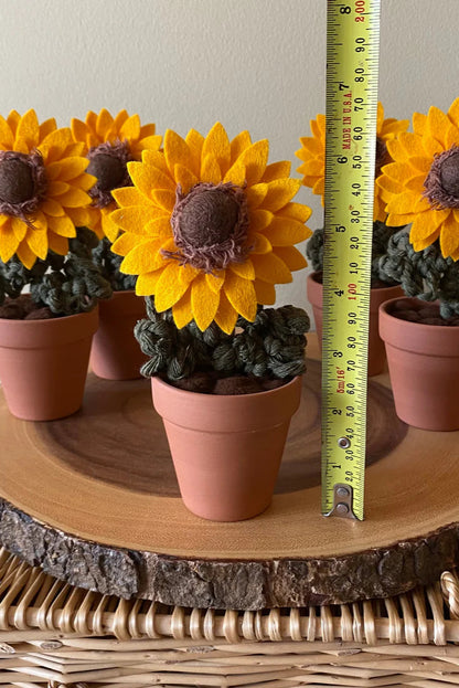 Potted Sunflower