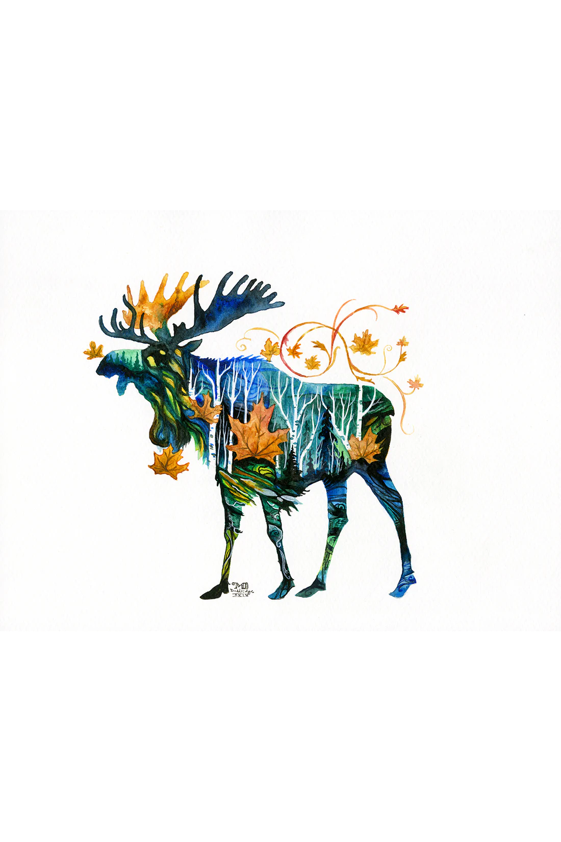 Canadian Wildlife Cards - Shaped By Nature