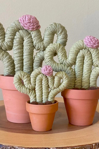 Knit Cactus