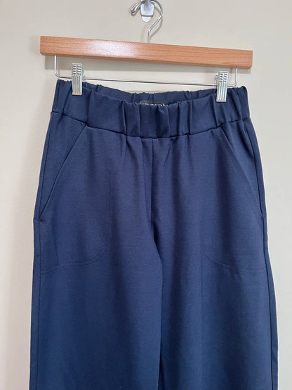 The Luisa Ponte Pants by Tangente in Navy, pull-on pants with an elastic waist, front pleats, and side pockets, are shown on a hanger in front of a white studio background. 