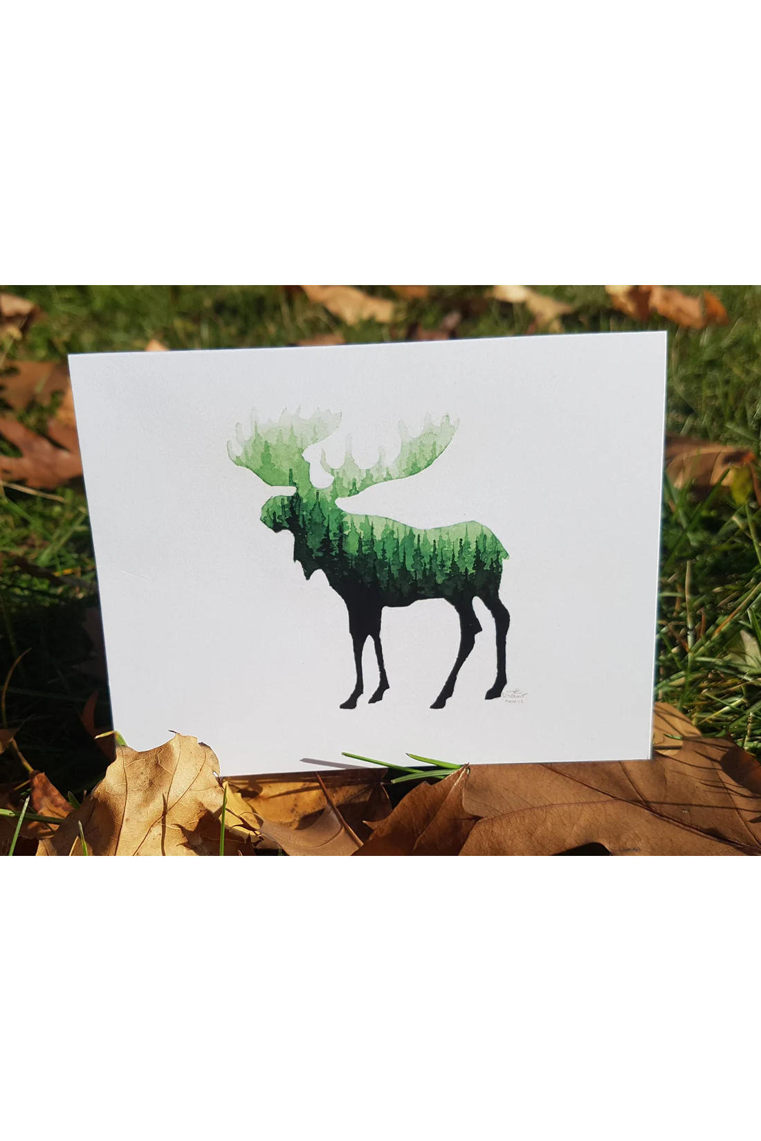 Canadian Wildlife Cards - Animal Silhouettes
