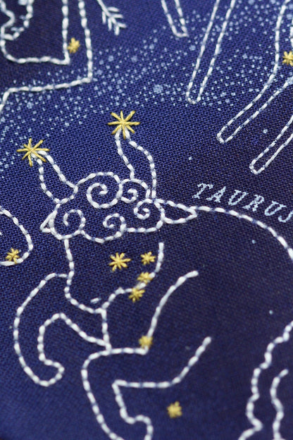 Star Map - 11" Hoop Kit