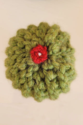 Curly Knit Succulent