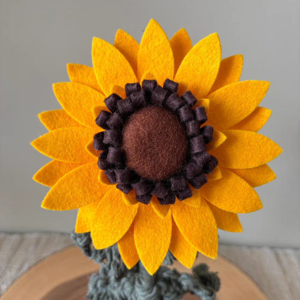 Potted Sunflower