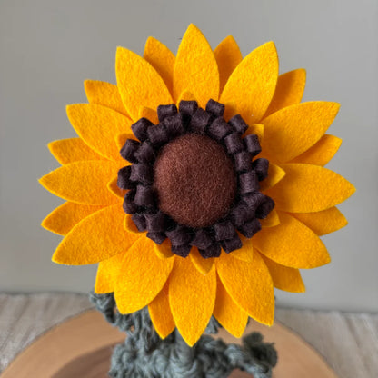 Potted Sunflower