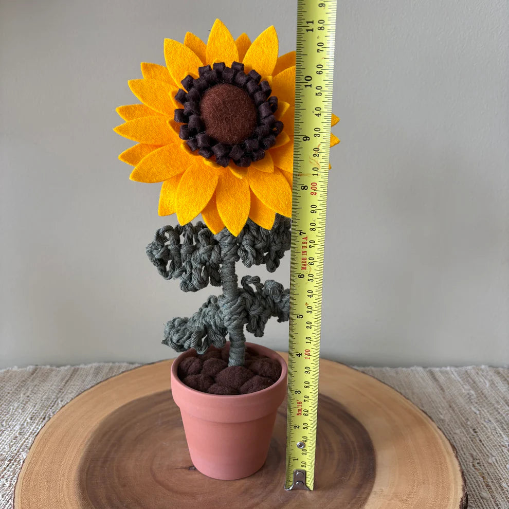 Potted Sunflower