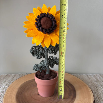 Potted Sunflower