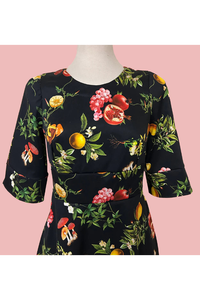 Pomegranate and Friends Dress