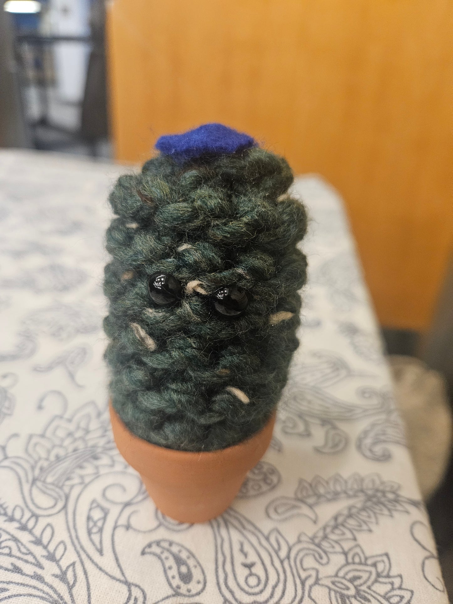 Emotional Support Knit Cactus
