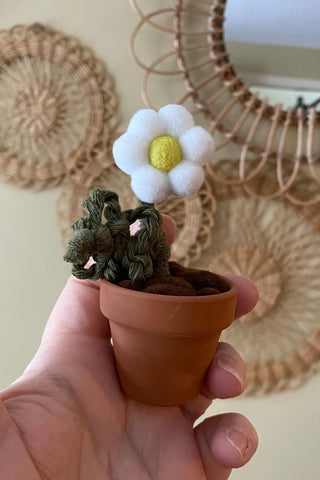 Potted Flower - Mini