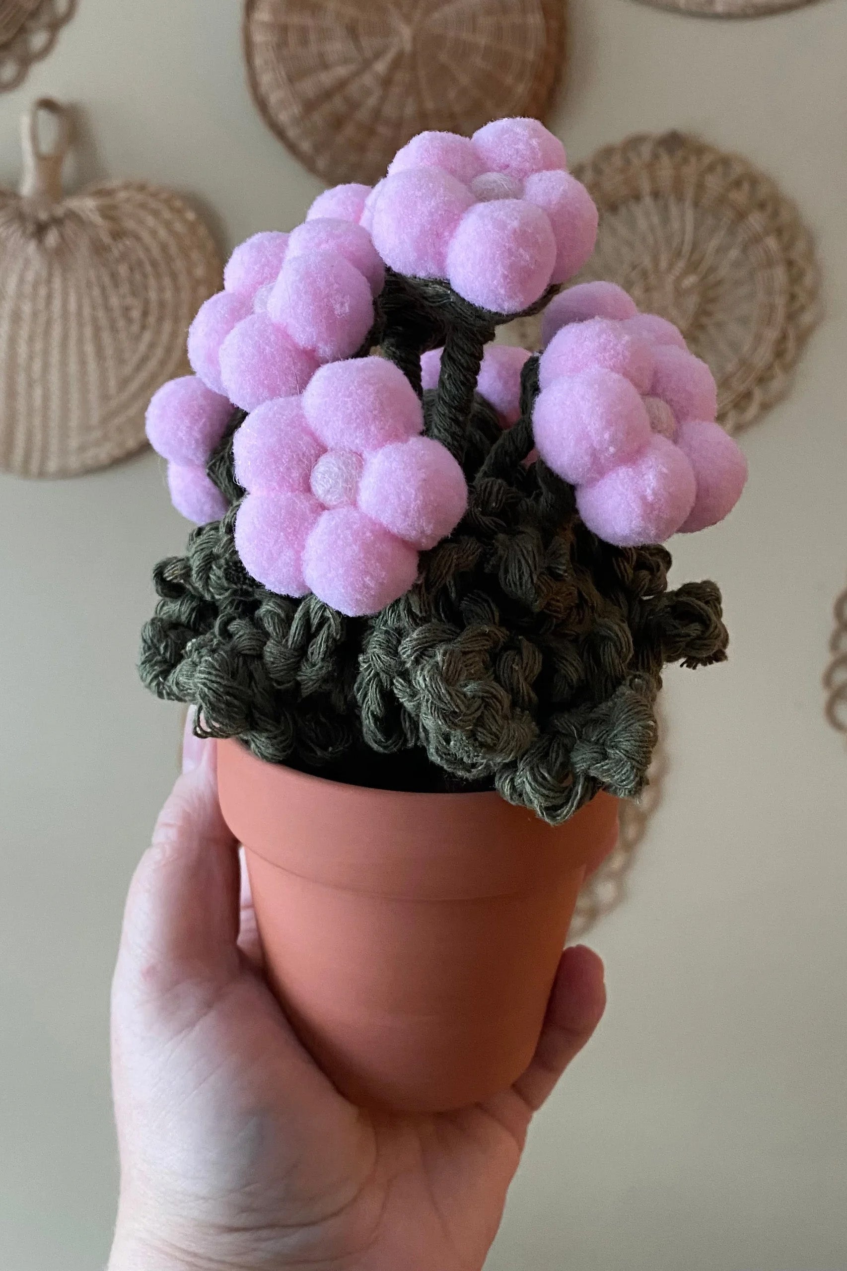 Impatiens Flower Pot